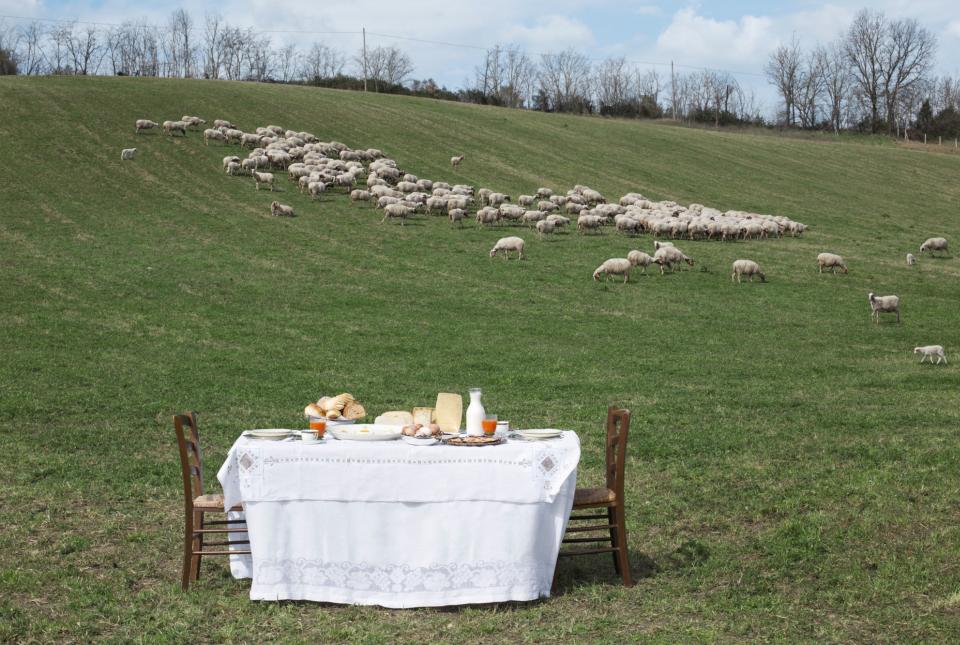 Visita della nostra azienda agricola